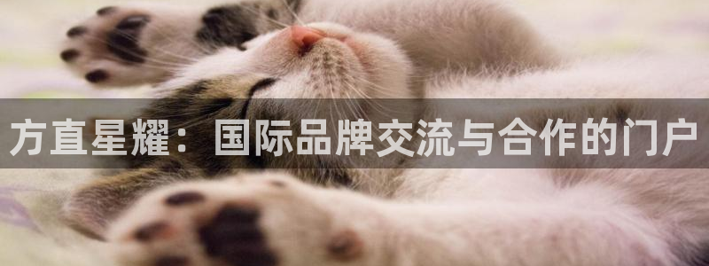 聚彩3代理：方直星耀：国际品牌交流与合作的门户