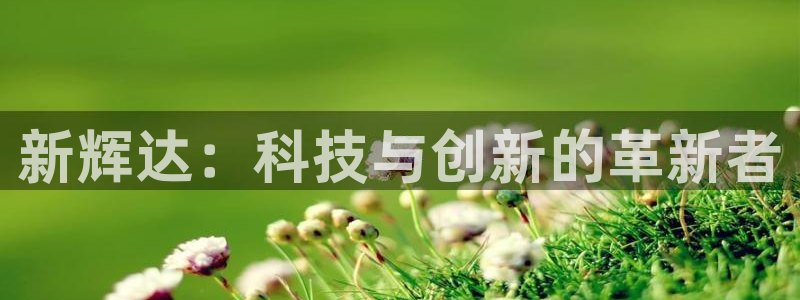 聚彩平台开户：新辉达：科技与创新的革新者