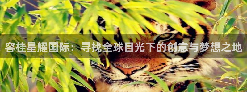 聚彩5：容桂星耀国际：寻找全球目光下的创意与梦想之地