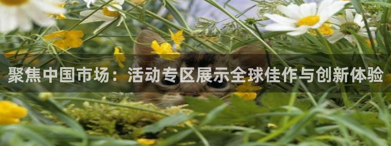 聚彩：聚焦中国市场：活动专区展示全球佳作与创新体验