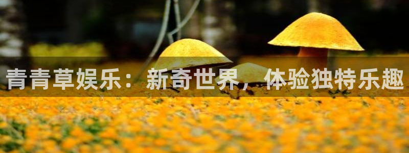 聚彩体育注册平台：青青草娱乐：新奇世界，体验独特乐趣