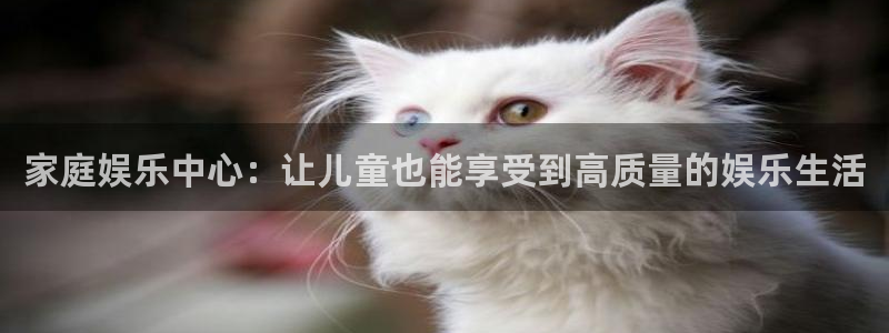 聚彩体育凯捷平台招商：家庭娱乐中心：让儿童也能享受到高质量的娱乐生活