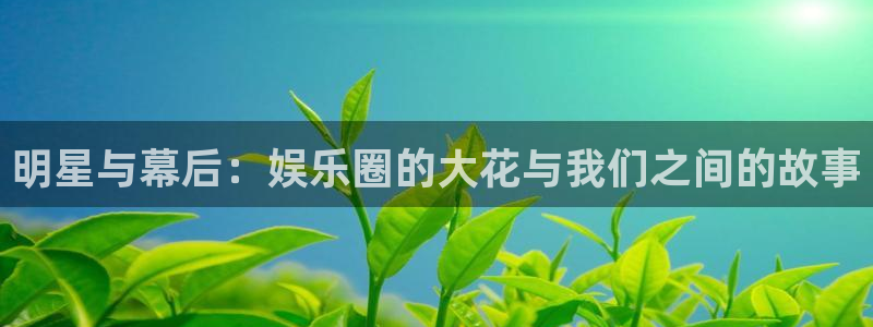 上海聚彩汽车电子有限公司：明星与幕后：娱乐圈的大花与我们之间的故事