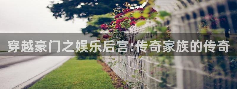 福建聚彩机电股份公司：穿越豪门之娱乐后宫:传奇家族的传奇