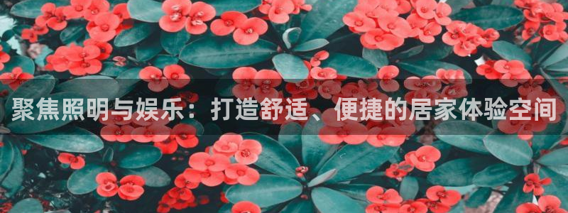 聚彩2平台：聚焦照明与娱乐：打造舒适、便捷的居家体验空间
