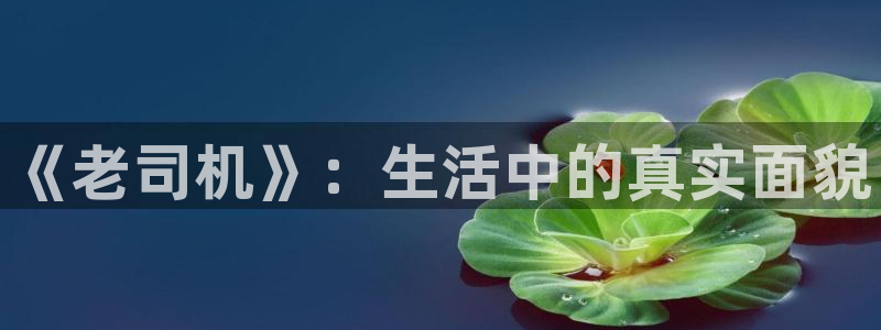 聚彩体育代理：《老司机》：生活中的真实面貌