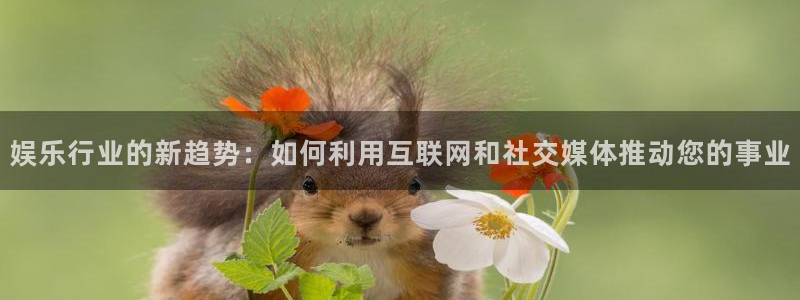 聚彩体育凯捷平台主管：娱乐行业的新趋势：如何利用互联网和社交媒体推动您的事业