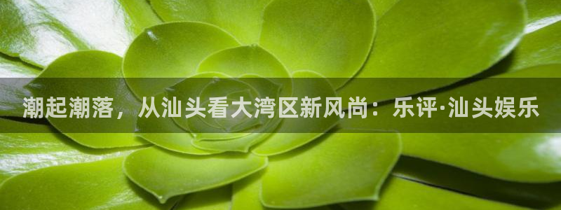 聚彩体育和杏耀是哪个公司的：潮起潮落，从汕头看大湾区新风尚：乐评·汕头娱乐