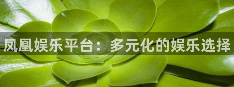 聚彩集团股票：凤凰娱乐平台：多元化的娱乐选择