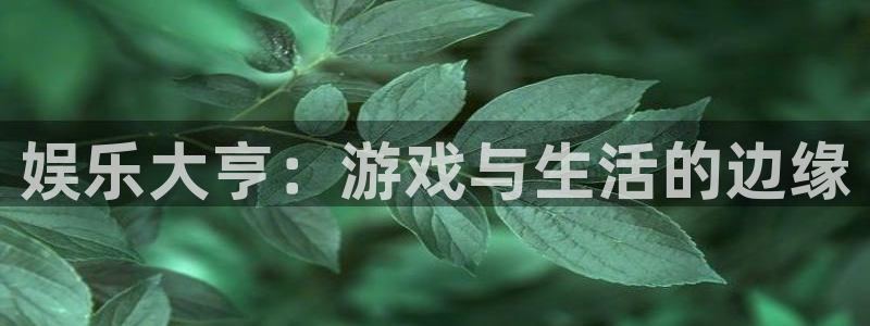 聚彩3官网