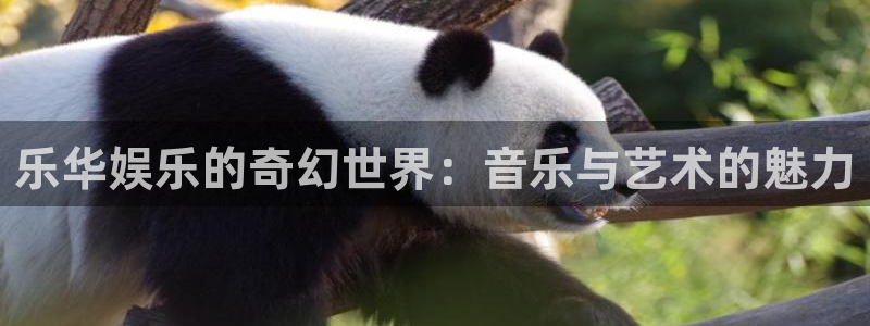 聚彩凯捷平台注册链接：乐华娱乐的奇幻世界：音乐与艺术的魅力