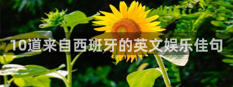 聚彩集团总部：10道来自西班牙的英文娱乐佳句