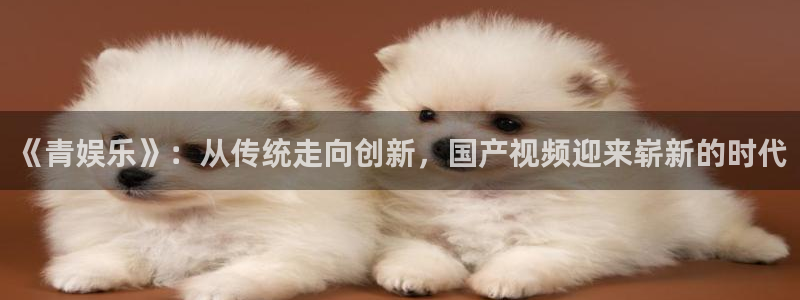 成都聚彩电子有限公司：《青娱乐》：从传统走向创新，国产视频迎来崭新的时代