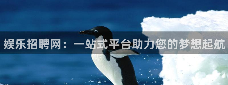聚彩体育注册登录入口：娱乐招聘网：一站式平台助力您的梦想起航