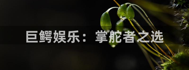 聚彩kgame：巨鳄娱乐：掌舵者之选