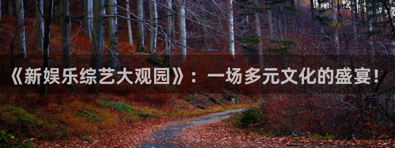 聚彩代理：《新娱乐综艺大观园》：一场多元文化的盛宴！