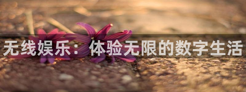 聚彩体育注册：无线娱乐：体验无限的数字生活