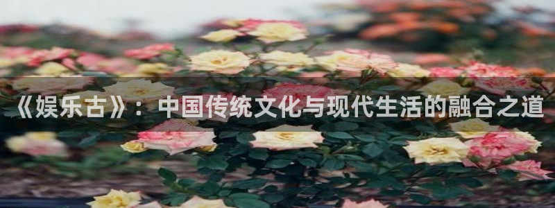 聚彩5注册：《娱乐古》：中国传统文化与现代生活的融合之道