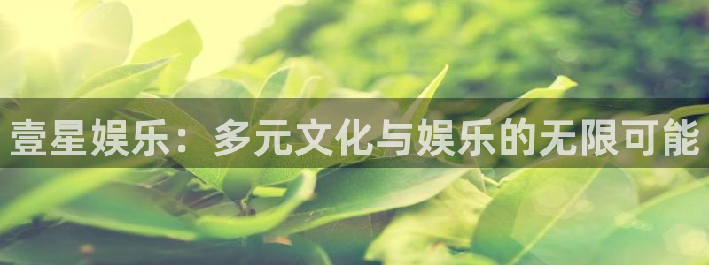 聚彩体育1招商：壹星娱乐：多元文化与娱乐的无限可能