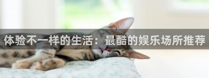 聚彩f凯捷平台在线注册：体验不一样的生活：最酷的娱乐场所推荐