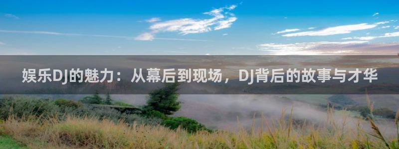 成都聚彩电子有限公司：娱乐DJ的魅力：从幕后到现场，DJ背后的故事与才华
