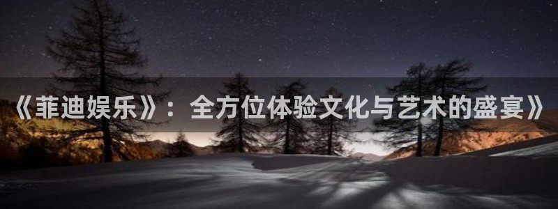 聚彩3代理：《菲迪娱乐》：全方位体验文化与艺术的盛宴》